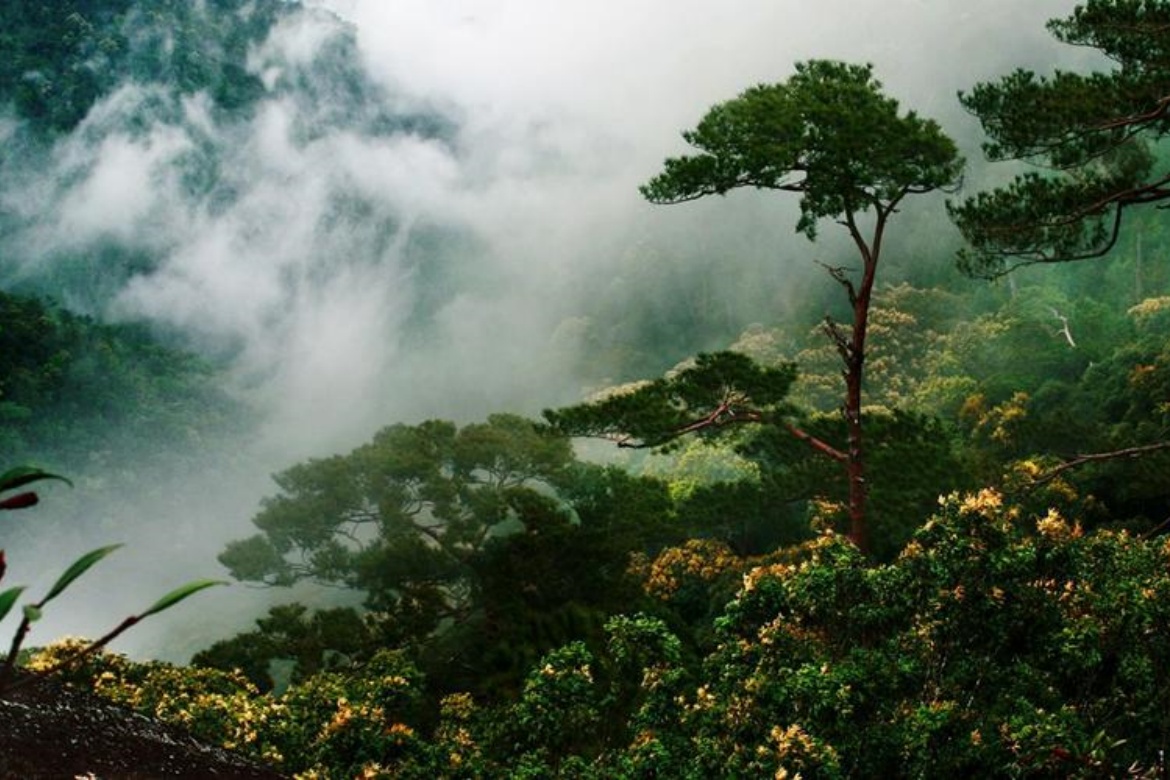 Ba Wang Ridge